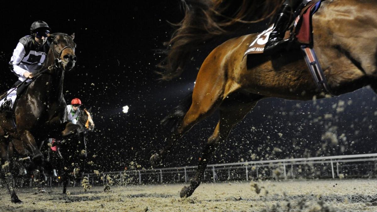 Horse racing at Kempton